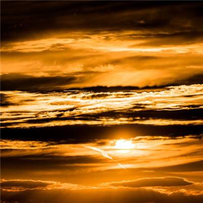 驯兽师商人中文版